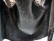 ��2����CWORKS by FINE CREEK&CO/��������� �Х� �ե����󥯥꡼������ɥ�����2025AW��Deerskin Deck Vest��Novelist��/�ǥ���������ǥå��٥��ȡɥΥ٥ꥹ�ȡɡ�(CWVE002)��ͽ����/2026ǯ������ͽ���