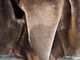 ��CWORKS by FINE CREEK&CO/��������� �Х� �ե����󥯥꡼������ɥ�����2025AW��Horsehide Deck Vest��Novelist��/�ۡ����ϥ��ɥǥå��٥��ȡɥΥ٥ꥹ�ȡɡ�(CWVE002)��ͽ����/2026ǯ������ͽ���