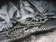 ��MOSSIR by FINE CREEK&CO/�⥷���� �Х� �ե����󥯥꡼������ɥ����ۡ�Washable Leather Straight Track Pants��LALK��/�����å���֥�쥶�����ȥ졼�ȥȥ�å��ѥ�ġɥ�륯�ɡ�(MOPT022)��ͽ����/2026ǯ������ͽ���