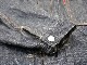 ��FULLCOUNT/�ե륫����ȡۡ�2nd Model Denim Jacket��Double Flap Pocket��/������ɥ�ǥ�ǥ˥ॸ�㥱�åȡɥ��֥�ե�åץݥ��åȡɡ�(2102W/13.7oz)