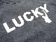 (30% OFF)��3����Sugar��Co./���奬������ɥ�����2023SS��Lucky Drop Tee/��å����ɥ��å�Tee��(SGR-TEE017)(�ǥ˥�/������/����ǥ���/���ᥫ��/�ϡ��졼/�ۥåȥ��å�/�ߥ꥿�꡼/WOLF PACK/����եѥå�)