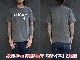 (30% OFF)��3����Sugar��Co./���奬������ɥ�����2023SS��Lucky Drop Tee/��å����ɥ��å�Tee��(SGR-TEE017)(�ǥ˥�/������/����ǥ���/���ᥫ��/�ϡ��졼/�ۥåȥ��å�/�ߥ꥿�꡼/WOLF PACK/����եѥå�)