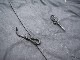��BUZZ RICKSON'S/�Х��ꥯ���󥺡ۡ�Black Hood Extreme Cold Weather M-65��No Hood��/�֥�å��ա��ɥ������ȥ꡼�ॳ����ɥ�������M-65�ɥΡ��ա��ɡɡ�(BR15192)