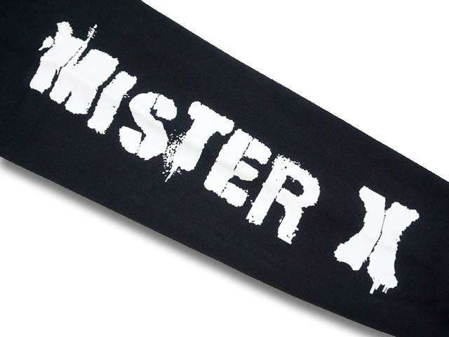 ��MISTER X/�ߥ��������å�����2022AW��Rarities 12oz Heavy Weight Hooded Sweat/�쥢��ƥ�����12���󥹥إӡ��������ȥա��ǥåɥ������åȡ�(22AW-MRX-04)(UNCHANGING LOVE/��������󥸥󥰥��/POP EYES/�ݥåץ�����/���ᥫ��/�ۥåȥ��å�)