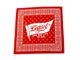 ��3����EVILACT/�����֥륢���ȡ�2026SS��Flag Bandana/�ե�å��Х���ʡ�(EA26-BANDANA)