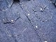 ��FULLCOUNT/�ե륫����ȡۡ�Denim Western Shirts/�ǥ˥०�������󥷥�ġ�(4894)