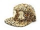 ��The Ampal Creative/�� ����ѥ륯�ꥨ���ƥ��֡ۡ� Western River Leopard Strap Back/�����������С��쥪�ѡ��ɥ��ȥ�åץХå���