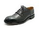 ��Makers/�ᥤ�������ۡ�Plain Shoes��Regina��/�ץ졼�󥷥塼���ɥ쥸���ʡɡ�(GOATSKIN)