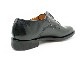 ��Makers/�ᥤ�������ۡ�Plain Shoes��Regina��/�ץ졼�󥷥塼���ɥ쥸���ʡɡ�(GOATSKIN)