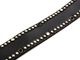��2����HTC(Hollywood Trading Company)/�������ƥ�������(�ϥꥦ�åɥȥ졼�ǥ��󥰥���ѥˡ�)�ۡ�1.75inch Leather Studs Belt"20 Stone 7��/1.75������쥶�������å��٥�ȡ�20���ȡ���7�ɡ�