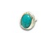��FIRST ARROW's/�ե������ȥ��������ۡ�Turquoise Pierce/�����������ԥ�����(O-068)
