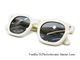 ��6����EVILACT Eyewear/�����֥륢���ȥ�����������2026SS��EVANS��Photochromic Lens��/�������󥹡�Ĵ����󥺡ɡ�(EAE26-23)