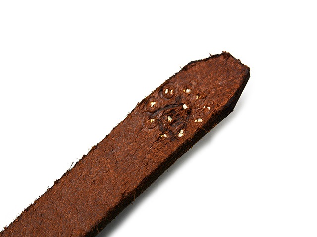 ��2����HTC(Hollywood Trading Company)/�������ƥ�������(�ϥꥦ�åɥȥ졼�ǥ��󥰥���ѥˡ�)�ۡ�0.75inch Leather Studs Belt"Flower Stone 40��/0.75������쥶�������å��٥�ȡɥե����ȡ���40�ɡ�
