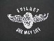 (30% OFF)��3����EVILACT/�����֥륢���ȡ�2024SS��Skull S/S Tee/�����륷�硼�ȥ��꡼��Tee��(EA-WFRSS-T11)