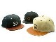 ��3����THE H.W.DOG&CO./�ɥå�����ɥ�����2023AW��2 Tone Leather Cotton Cap/2�ȡ���쥶�����åȥ󥭥�åס�(D-00796)(���ᥫ��/�ϡ��졼/�Х�����/�Х���/�ۥåȥ��å�/˹��/���/�ۥåȥ��å�/WOLFPACK/����եѥå�)