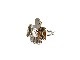 ��BILTBUCK by ATTRACTIONS/�ӥ�ȥХå��Х����ȥ饯����󥺡ۡ�Thunderbird Ring/��������С��ɥ�󥰡�(BS0009)