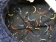 ��Mr.FATMAN/�ߥ������ե��åȥޥ��2023AW��F Wappen Cap/F��åڥ󥭥�åס�(5234005)(THE FAT HATTER/�� �ե��åȥϥå���/�ۥ����륺���ѥ��/���ᥫ��/�ϡ��졼/�ץ쥼���/WOLF PACK/����եѥå�)