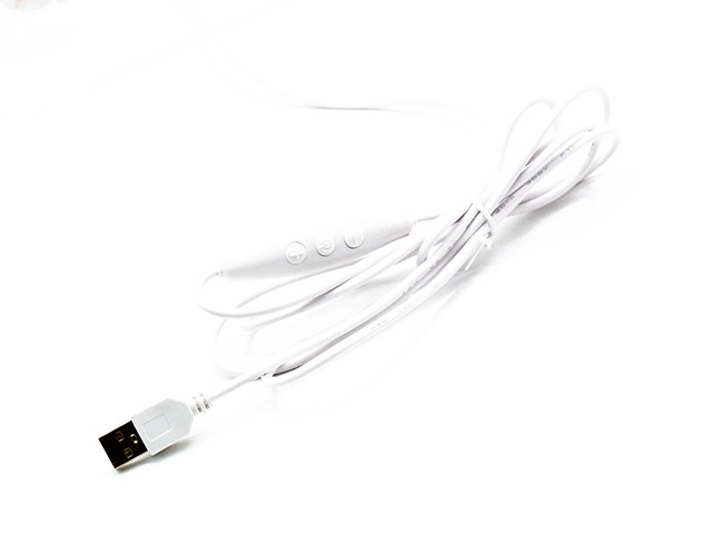 ��BLUCO/�֥륳��2026SS��LED Neon Sign/LED�ͥ��󥵥����(163-95-009)