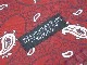 ��WEARMASTERS by ATTRACTIONS/�������ޥ��������Х����ȥ饯����󥺡�2024AW��Paisley-W Scarf/�ڥ����꡼W�������ա�(WS009)