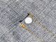 ��TROPHY CLOTHING/�ȥ��ե������������󥰡ۡ�W Knee Standard Dirt Denim/���֥�ˡ�����������ɥ����ȥǥ˥��(1606)��ͽ����/2026ǯ12-1������ͽ���