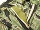 ��MODUCT/������ȡ�2026SS��TRANKS RIP STOP TIGER CAMOUFLAGE GENERAL PORPOSE/�ȥ�󥯥���åץ��ȥåץ�����������ե顼���奸���ͥ��ѡ��ѥ���(MO52625)