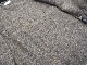 ��2����TROPHY CLOTHING/�ȥ��ե������������󥰡�2024AW��Storm Vest/���ȡ���٥��ȡ�(TR24AW-302)