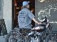 ��SIRANO BROS/����Υ֥�����2024SS��Chambray Over Sized S/S Shirts��Biker Wisdom��/�����֥졼�����С��������ɥ��硼�ȥ��꡼�֥���ġɥХ���������������ɡ�