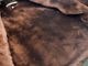 ��CWORKS by FINE CREEK&CO/��������� �Х� �ե����󥯥꡼������ɥ����ۡ�Horsehide Deck Zip Jacket��Zephyr��/�ۡ����ϥ��ɥǥå����åץ��㥱�åȡɥ��ե����ɡ�(CWJK033)