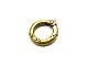 ��MAD CULT/�ޥåɥ���ȡۡ�Divers Ring-5 Key Holder��Brass��/�����С������-5�����ۥ�����ɥ֥饹�ɡ�(KHB-11)