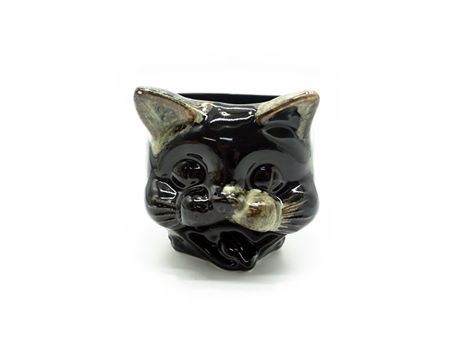 【黒猫】 凝視 #黒猫つくねちゃん #Tsukune_chan #猫 #黒猫 #保護猫 #黒猫だって