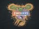��3����FINESIXXX/�ե����󥷥å�����2026SS��Thunderalley Collaboration Vintage Dragon Tee/����������쥤����ܥ졼����������ơ����ɥ饴��Tee��(FS-2026SS-003)