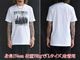 ��2����HWZN BROSS/�ϥ�����֥�����2026SS��Regiment Army S/S Tee/�쥸���ȥ����ߡ����硼�ȥ��꡼��Tee��