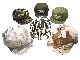 ��6����THE H.W.DOG&CO./�ɥå�����ɥ�����2024SS��Military Trucker Cap/�ߥ꥿�꡼�ȥ�å�������åס�(D-00900)