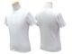 ��3����Robert P. Miller/���С���P.�ߥ顼�ۡ�Panel Rib Henley S/S Tee/�ѥͥ��֥إ�꡼���硼�ȥ��꡼��Tee��