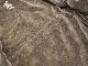 ��2����RED TAiL/��åɥƥ����2024AW��VB-11 MC Jacket/VB-11 MC���㥱�åȡ�(RKK-494)