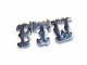 ��SKULL FLIGHT/������ե饤�ȡۡ�FTW Pins/FTW�ԥ󥺡�(Silver950)