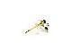 ��Jango/����󥴡ۡ�Pierce-05/�ԥ���-05��(JPE-05)