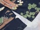 ��BLACK SIGN/�֥�å��������2025SS��Three Quarter Sleeve Night Hawaiian Shirt��Kuniyoshi Utagawa��/���꡼�������������꡼�֥ʥ��ȥϥ磻���󥷥�ġɲ��� ��˧�ɡ�(BSSL-25110)