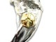 ��FIRST ARROW's/�ե������ȥ��������ۡ�Large Bear Claw with K18��Left��/K18�դ��顼���٥��������ɺ������ɡ�(P-028L)