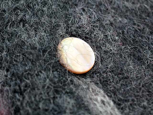 ��JELADO��ROCKSTAR GARMENTS��/�����顼�ɡɥ��å��������������ġɡ�2025AW��Cobain/���С����(RG13838)