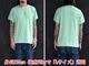 ��5����MISTER FREEDOM/�ߥ������ե꡼�����2025SS��Stanley T-Shirts/������졼T����ġ�(SC79541)