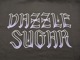 DAZZLE SUGAR/륷奬2025SSPS Logo Zip Hoodie/PSåץաǥ