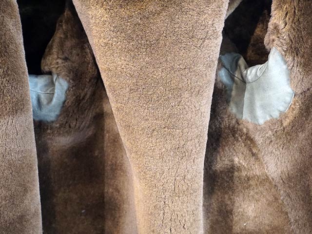 ��CWORKS by FINE CREEK&CO/��������� �Х� �ե����󥯥꡼������ɥ�����2025AW��Horsehide N-1 Deck Jacket��Scope��/�ۡ����ϥ���N-1�ǥå����㥱�åȡɥ������סɡ�(CWJK032)��ͽ����/2026ǯ������ͽ���