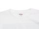 ��FIRST ARROW's/�ե������ȥ��������ۡߡ�WOLF PACK/����եѥå��ۡ�Crew Neck S/S Tee"ARROW GT 4th"/���롼�ͥå����硼�ȥ��꡼��Tee�ɥ�����GT�ե������ɡ�