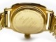 ��VAGUE WATCH Co./�������������å�����ѥˡ��ۡ�COUSSIN Sophie SE/���å��󥽥ե������ƥ�쥹�������ƥ󥷥��٥�ȡ�(CO-L-010-SS-SE-10YBK)