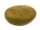 ��9����THE H.W.DOG&CO./�ɥå�����ɥ����ۡ�Beret/�٥졼��(D-00022)