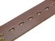 ��HTC(Hollywood Trading Company)/�������ƥ�������(�ϥꥦ�åɥȥ졼�ǥ��󥰥���ѥˡ�)�ۡ�Leather Studs Belt"Overlay Peanuts Snake��/�쥶�������å��٥�ȡɥ����С��쥤�ԡ��ʥåĥ��͡����ɡ�