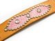 ��HTC(Hollywood Trading Company)/�������ƥ�������(�ϥꥦ�åɥȥ졼�ǥ��󥰥���ѥˡ�)�ۡ�Leather Studs Belt"Overlay Peanuts Snake��/�쥶�������å��٥�ȡɥ����С��쥤�ԡ��ʥåĥ��͡����ɡ�