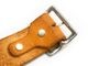 ��HTC(Hollywood Trading Company)/�������ƥ�������(�ϥꥦ�åɥȥ졼�ǥ��󥰥���ѥˡ�)�ۡ�Leather Studs Belt"Overlay Peanuts Snake��/�쥶�������å��٥�ȡɥ����С��쥤�ԡ��ʥåĥ��͡����ɡ�