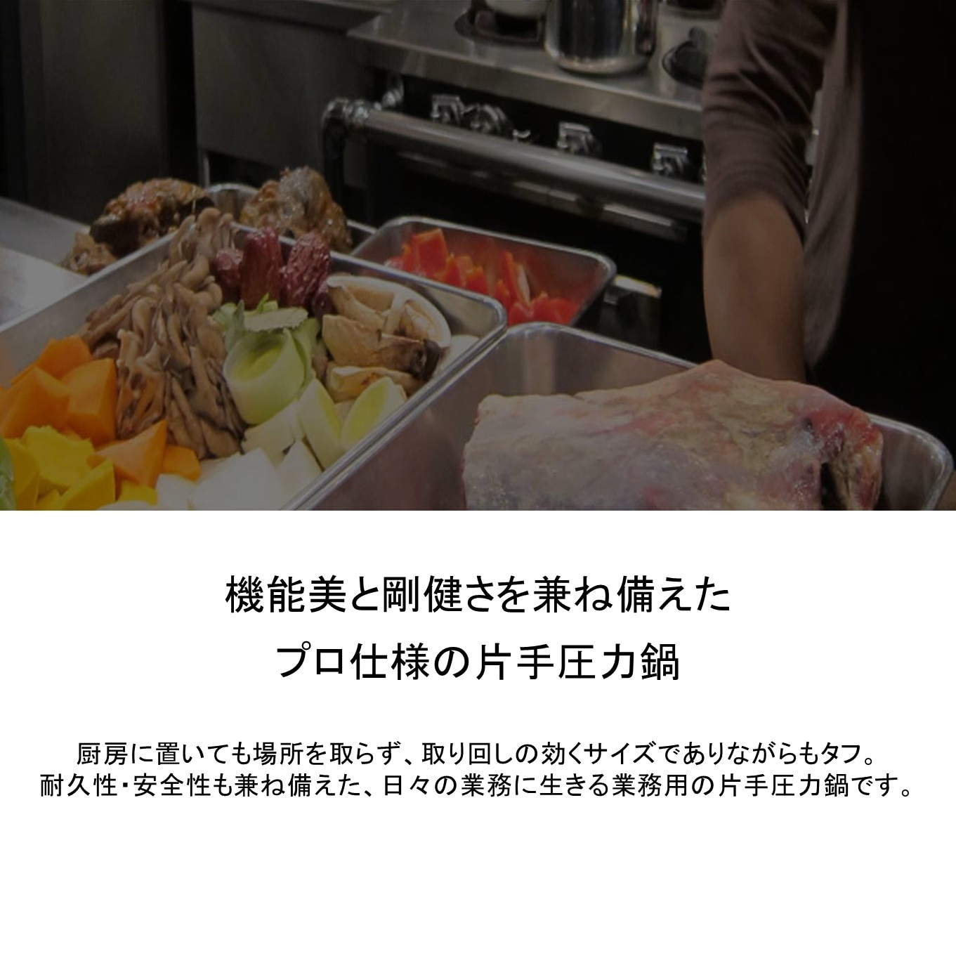 Pro2（プロ2） 6.0L 製品 | プロ仕様圧力鍋,Pro2（プロ2）ZPシリーズ